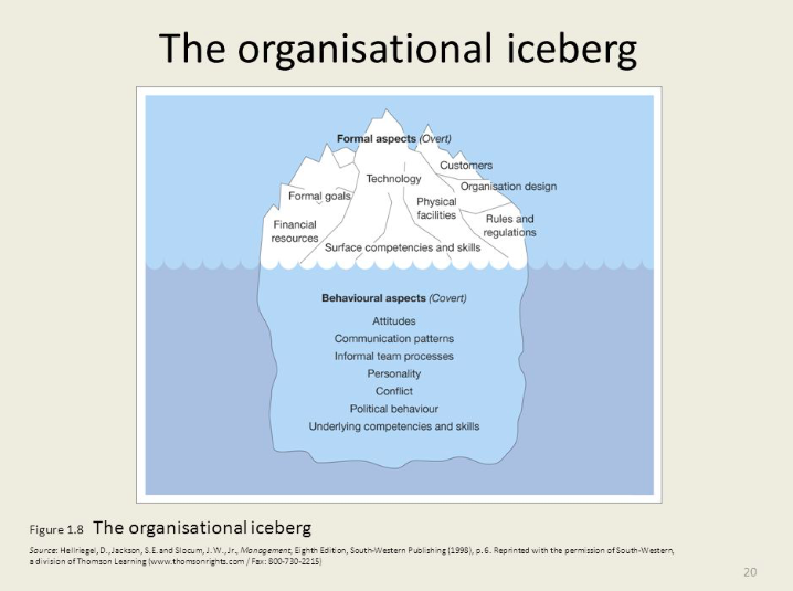 The organizational iceberg (Hellriegel, 1998) 
